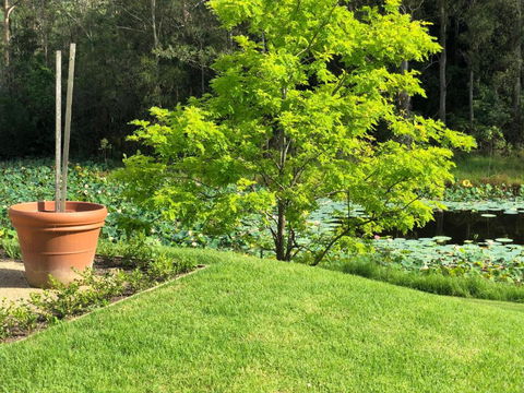 Garden Hill Sandstone Villas: Shoalhaven NSW Australia - Accommodation Bookings 2