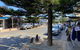 Garland Grove - thumb 1