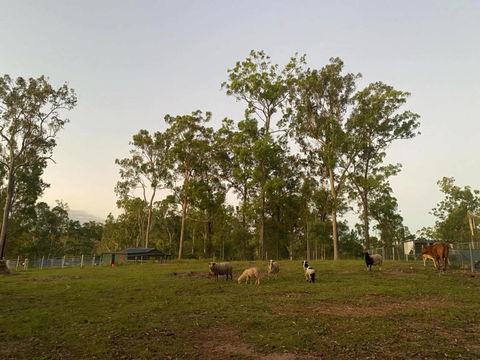 Gemmas Animal Farm By Tiny Away - Accommodation Bookings 1