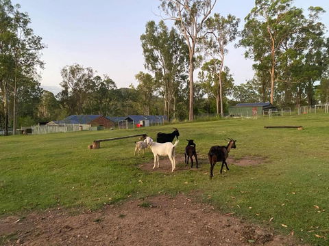 Gemmas Animal Farm By Tiny Away - Accommodation Bookings 2