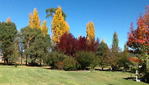 Glen Waverly Farmstay - Accommodation Bookings 3
