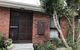 Golden House - thumb 1