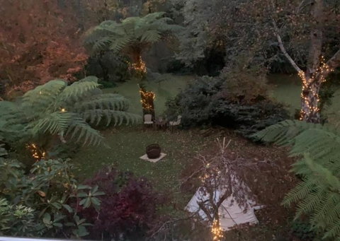 Green Forrest Cottage - Accommodation Bookings 1