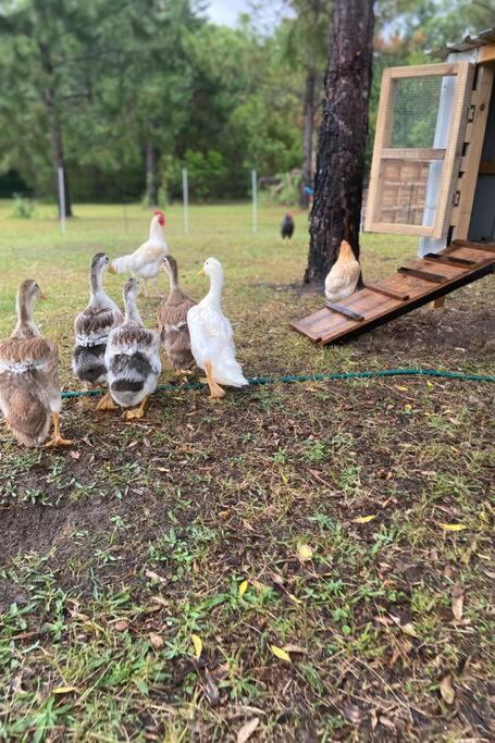 Halfway Creek Studio - Accommodation Bookings 2