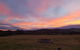 Handsome Hills Dairy Retreat - thumb 1