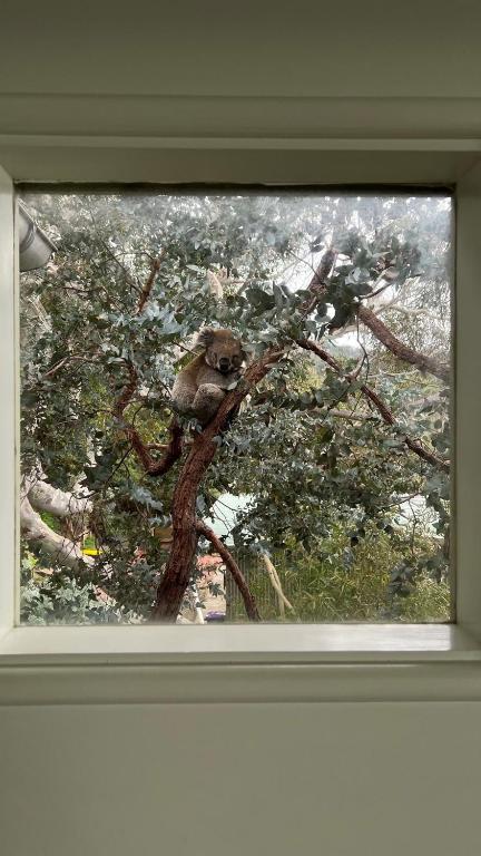 Hideaway At Wye - Accommodation Bookings 2