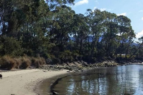 Hideaway By The Bay - Accommodation Bookings 0