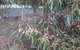Hobreid Park - thumb 3