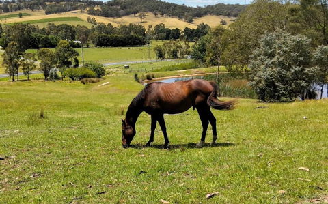 Honeycomb Hill Of Yarra Valley - Accommodation Bookings 3