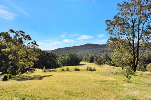 Hunter Valley Kangaroo Retreat With 60 Kangaroos - Accommodation Bookings 1