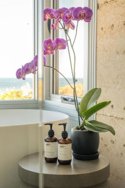 Immerse Kangaroo Island - Accommodation Bookings 2