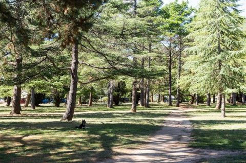 Impeccable Braddon Studio With Outdoor Dining - Accommodation Bookings 3