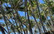 IMPORTANT MESSAGE This Property Is Not Currently Available For Holiday Letting - thumb 1