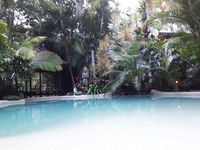 Book Eudlo Accommodation Vacations Accommodation Bookings Accommodation Bookings