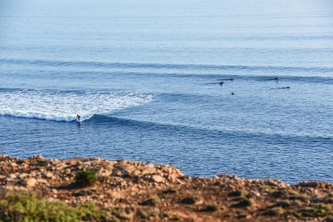 Aldinga Beach Experience - Accommodation Bookings 3