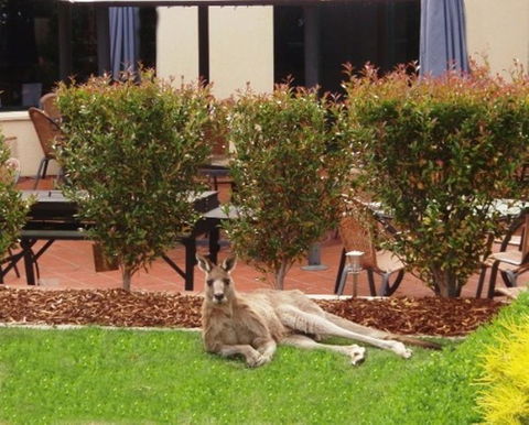 Alpha Hotel Canberra - Accommodation Bookings 1