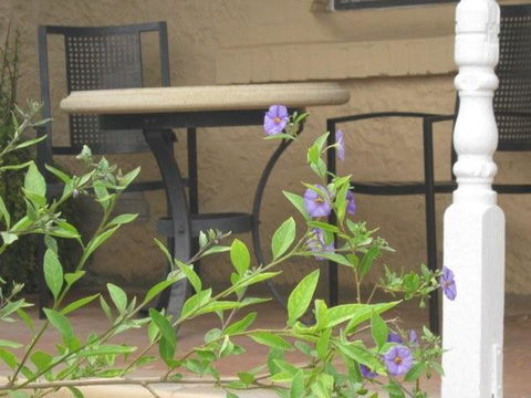 Amalie Cottage Waikerie - Accommodation Bookings 0
