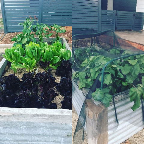 AMs Farm Stay - Accommodation Bookings 3