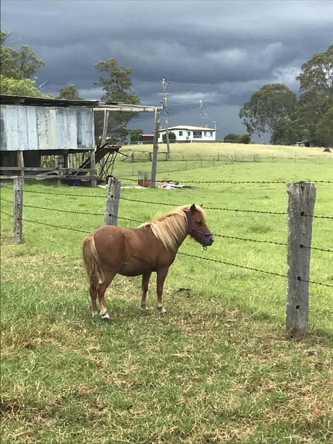 AMs Farm Stay - Accommodation Bookings 0