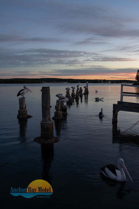 Anchor Bay Motel - Accommodation Bookings 3