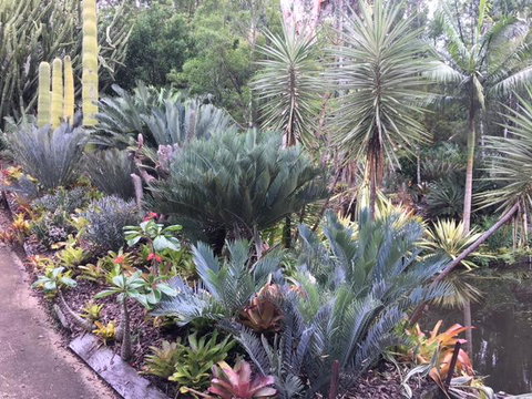 Ancient Gardens Guesthouse & Botanical Gardens - Accommodation Bookings 2