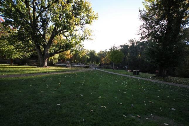 Guys Forest VIC Accommodation Bookings