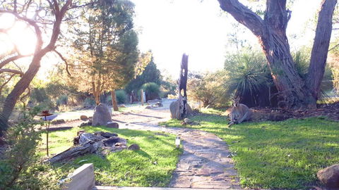 Aquila Eco Lodges - Accommodation Bookings 3