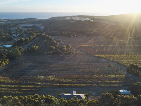 Arimia Estate Guesthouse - Accommodation Bookings 1