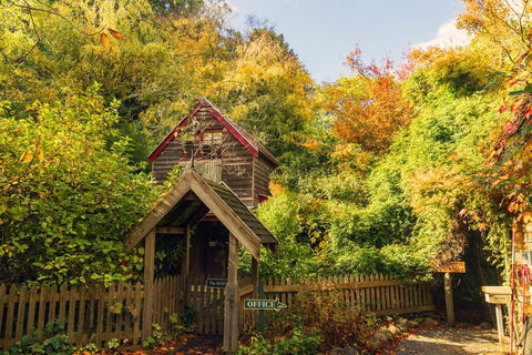 Arnica Views Summit Retreat - Accommodation Bookings 1