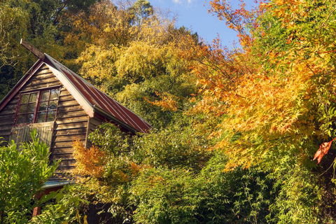 Arnica Views Summit Retreat - Accommodation Bookings 2