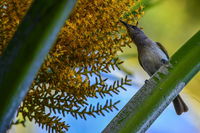 Book Karumba Accommodation Vacations Accommodation Bookings Accommodation Bookings