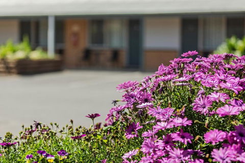 Maffra Motor Inn - Accommodation Bookings 1