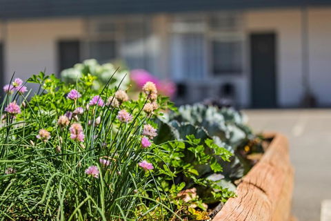 Maffra Motor Inn - Accommodation Bookings 3