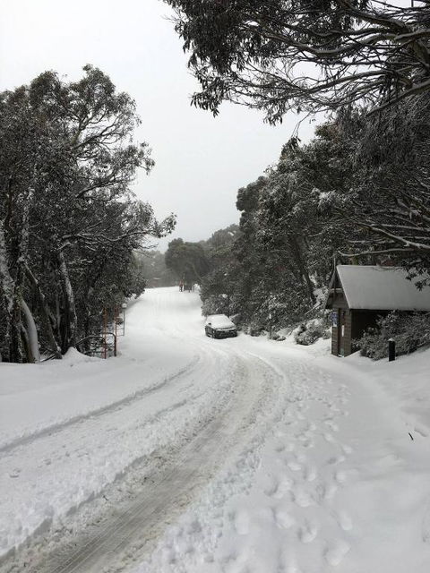 MAGNIFICENT SKIING ON MOUNT BULLER - Accommodation Bookings 3