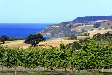 Mallavale Farm, Boat Harbour - Accommodation Bookings 0