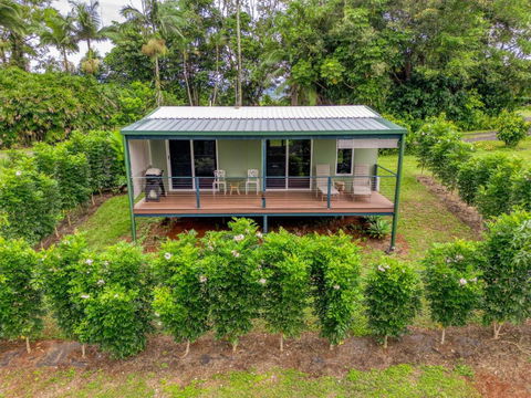 Mena Creek Flower House - Accommodation Bookings 2