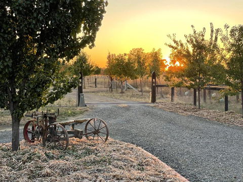 Maple Lane Farm Stay - Accommodation Bookings 0