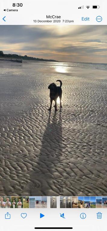 Mcrae Retro Beach House ! - Accommodation Bookings 2