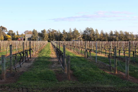 Milawa Vineyard Views - Guesthouse 1 - Accommodation Bookings 2