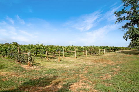 Milawa Vineyard Views - Guesthouse 2 - Accommodation Bookings 0
