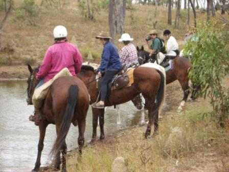 Misty Mountain Retreat By Tiny Away - Accommodation Bookings 2