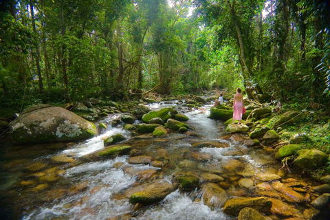 Misty Mountains Hideaway - Accommodation Bookings 0