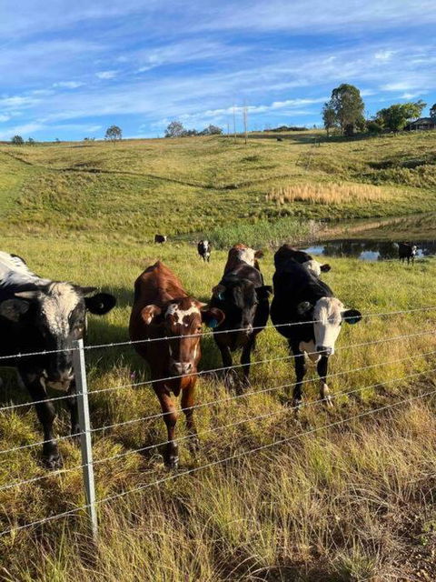 Modern Farmhouse - Accommodation Bookings 3