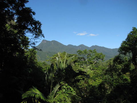 Mossman Gorge Bed And Breakfast - Accommodation Bookings 0