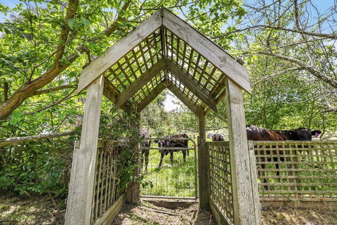 Mount Bolton Retreat - Accommodation Bookings 2