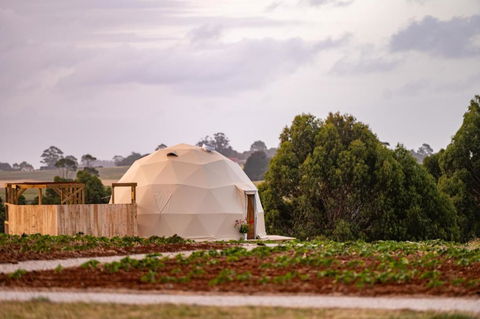 Mount Gnomon Farm - Accommodation Bookings 0
