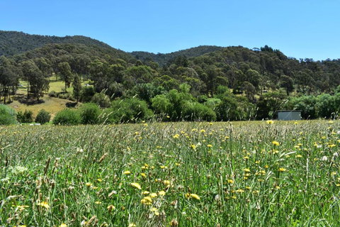 Mountain View Motel - Accommodation Bookings 2