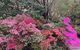 Mountain Villa In Dandenong Ranges - thumb 1
