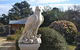 Mulberry Cottage Unique B&B Accommodation - thumb 2