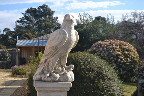 Mulberry Cottage Unique B&B Accommodation - Accommodation Bookings 2
